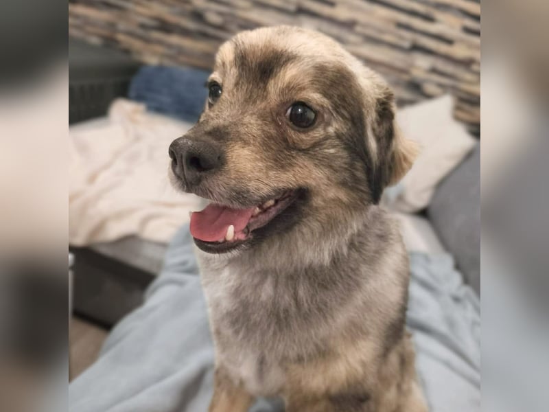 Kunibert- ist verunsichert