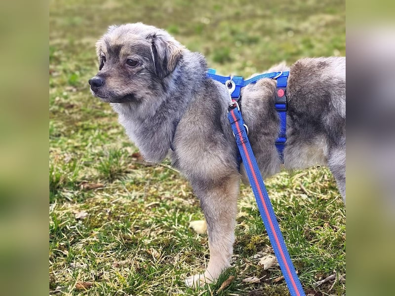 Kunibert- ist verunsichert