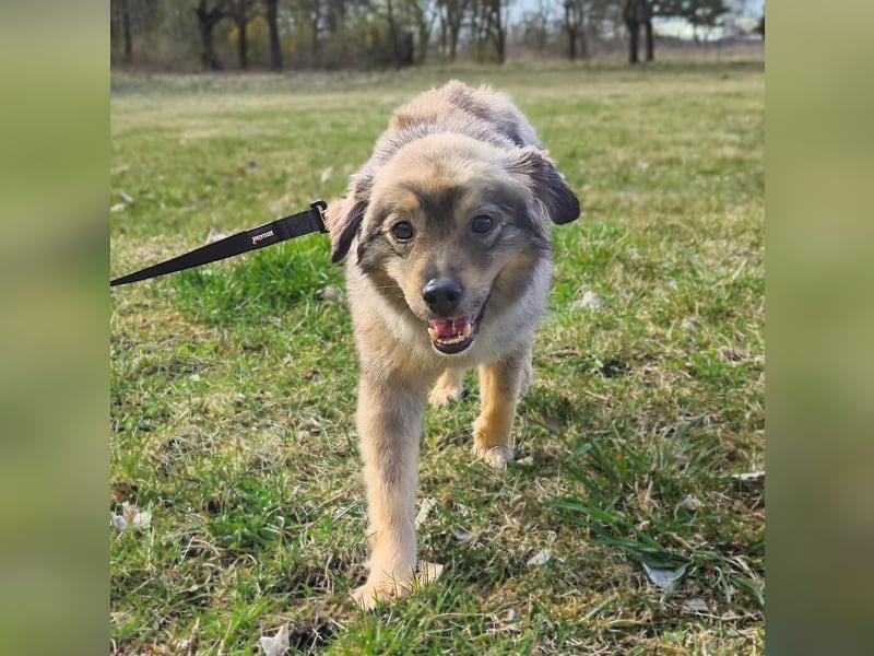 Kunibert- ist verunsichert