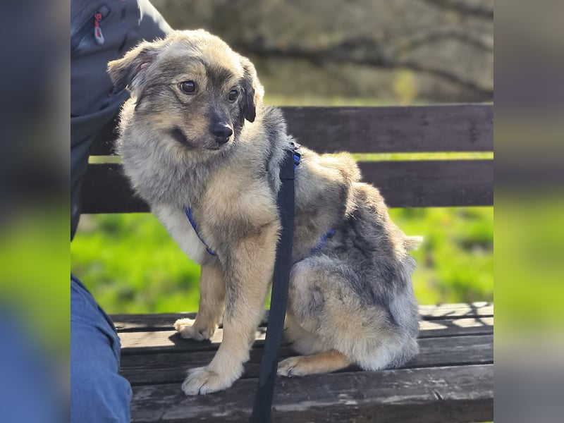 Kunibert- ist verunsichert