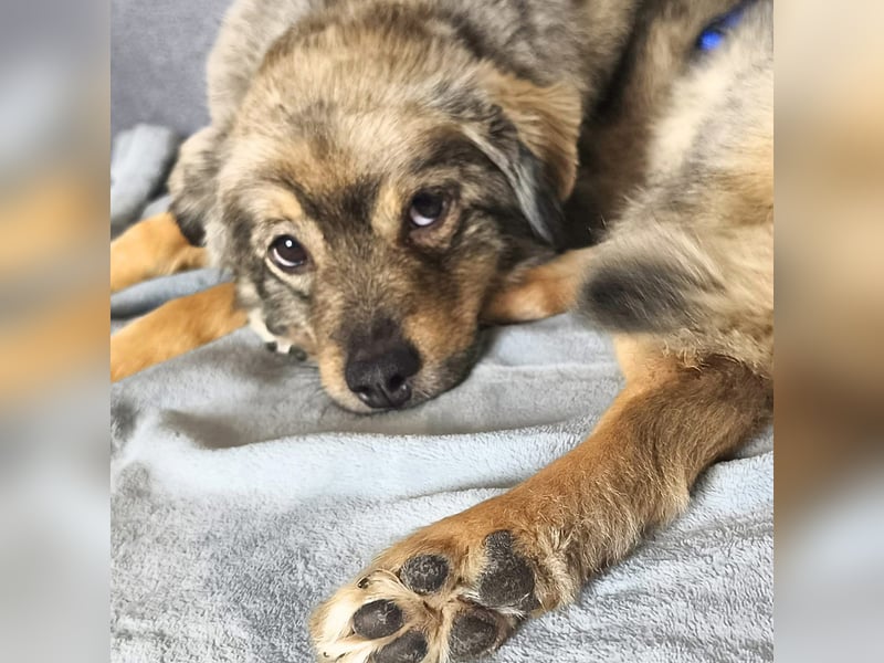 Kunibert- ist verunsichert