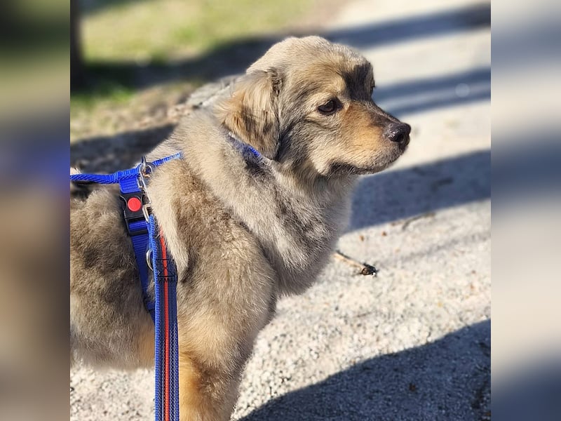 Kunibert- ist verunsichert