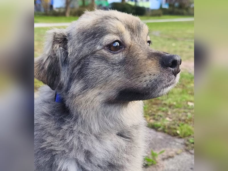 Kunibert- ist verunsichert