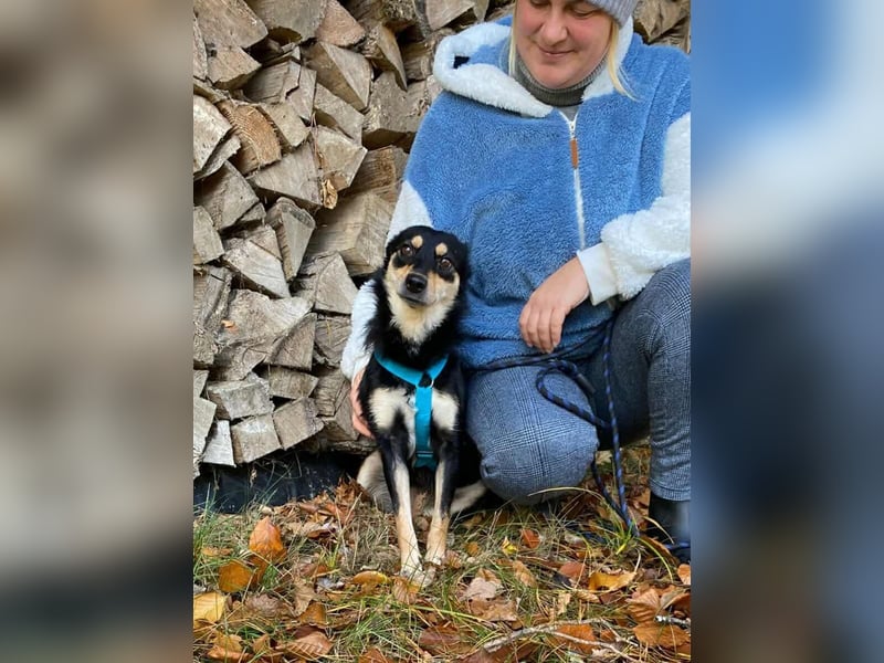 Kiana - die kleine Spitzmaus Kiana - die kleine Spitzmaus