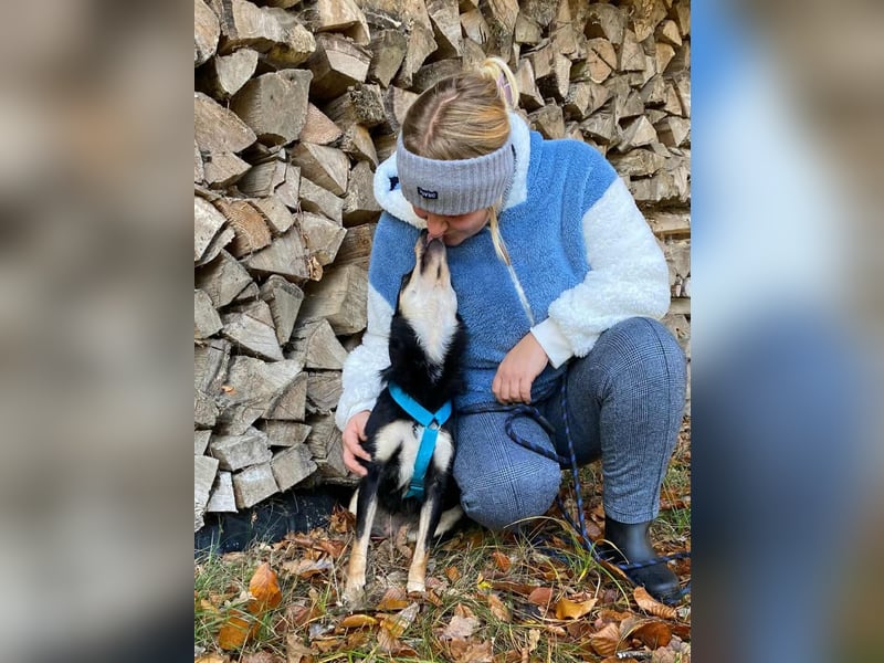 Kiana - die kleine Spitzmaus Kiana - die kleine Spitzmaus