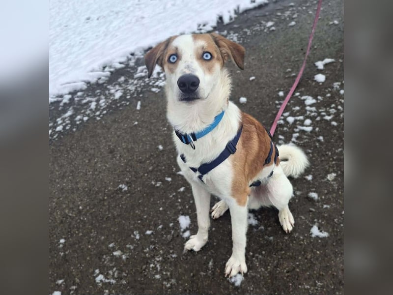 Khany - ist anhänglich&verschmust