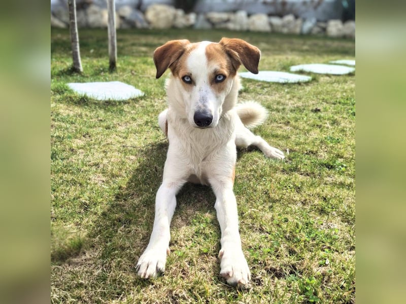 Khany - braucht Geduld&positive Bestärkung