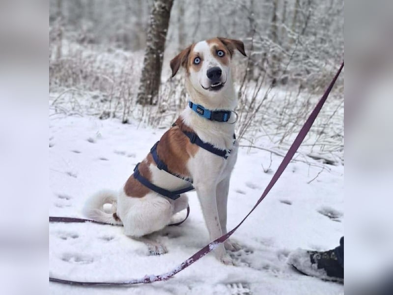 Khany - ist anhänglich&verschmust