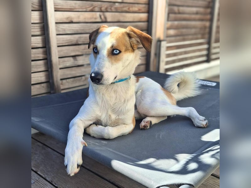 Khany - braucht Geduld&positive Bestärkung