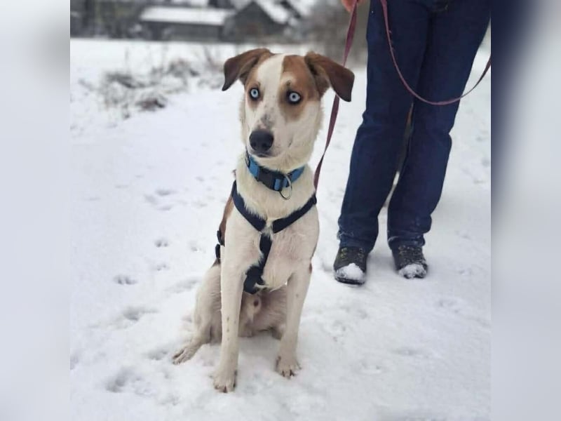 Khany - ist anhänglich&verschmust