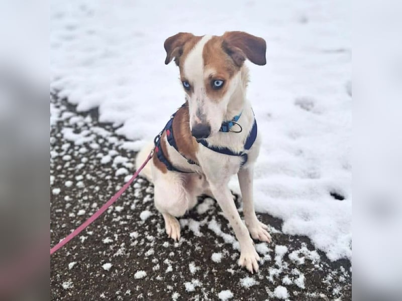 Khany - ist anhänglich&verschmust