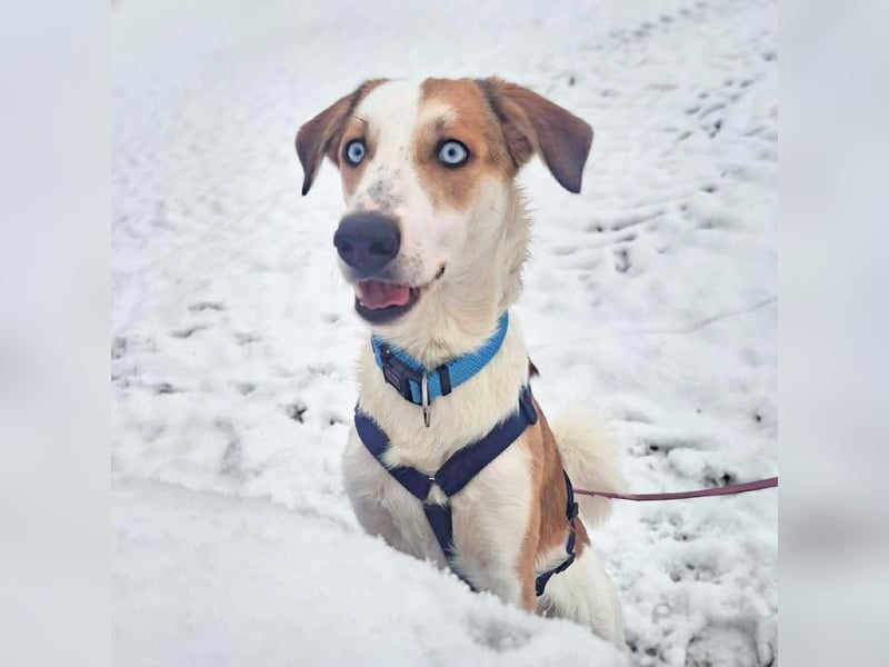 Khany - ist anhänglich&verschmust