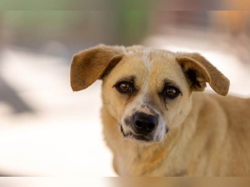 ❤️ ERNESTO ❤️