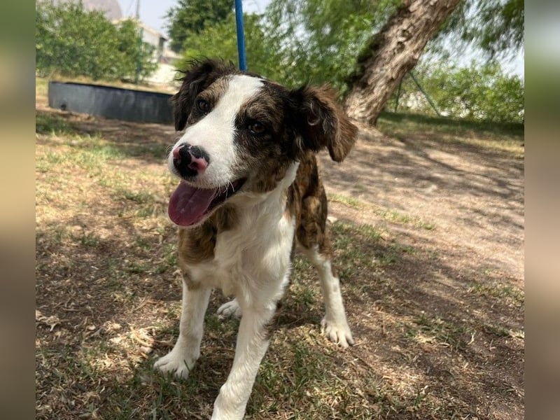 ❤️ AFRODITA❤️