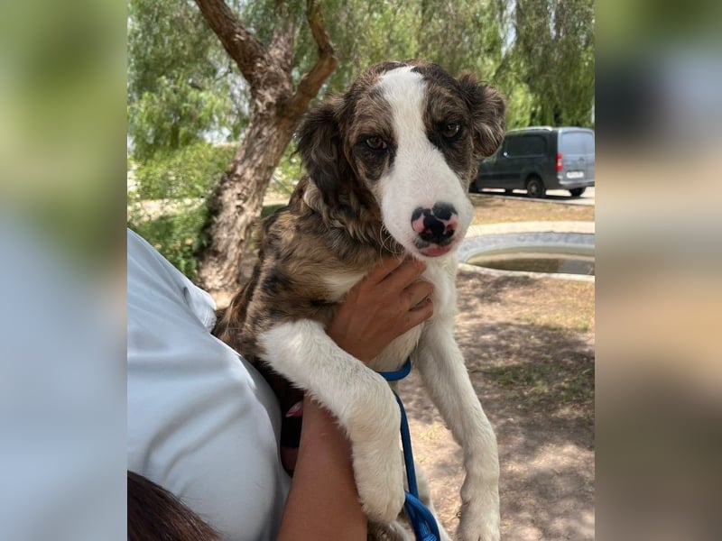 ❤️ AFRODITA❤️