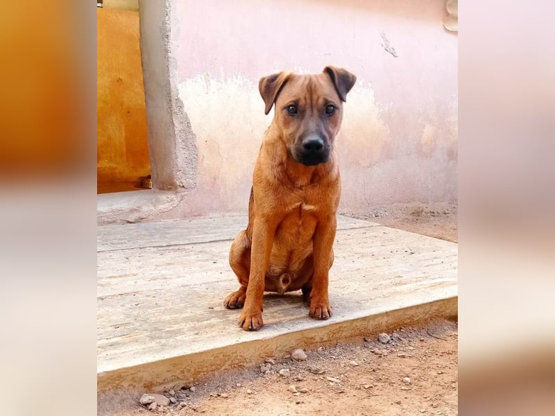 ❤️BOMBON❤️