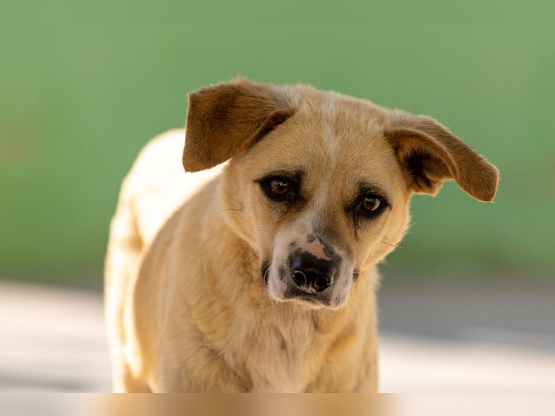 ❤️ ERNESTO ❤️