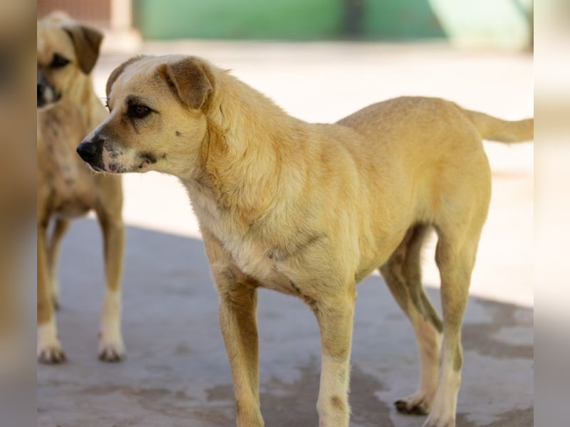 ❤️ ERNESTO ❤️