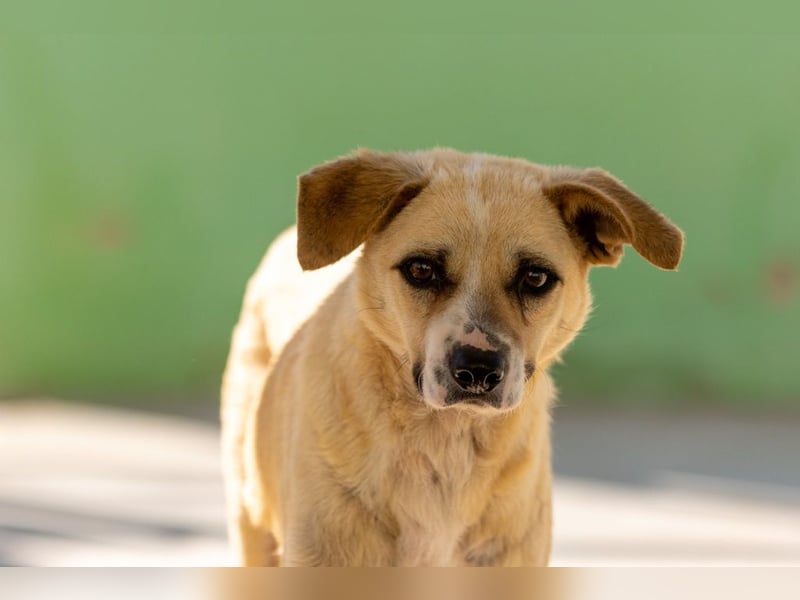 ❤️ ERNESTO ❤️