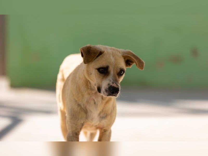 ❤️ ERNESTO ❤️