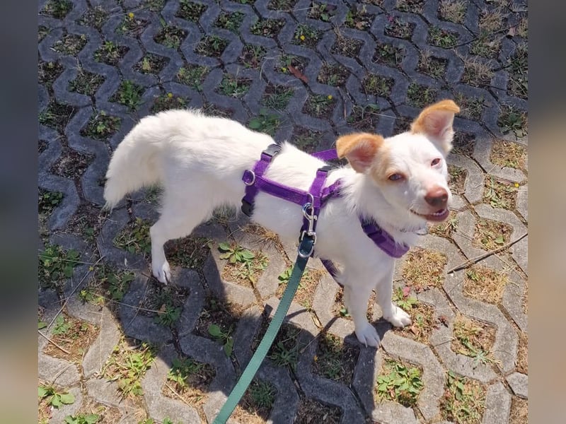 Pamela
