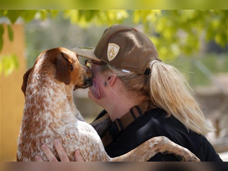 Traumhund Alex sucht sein Körbchen