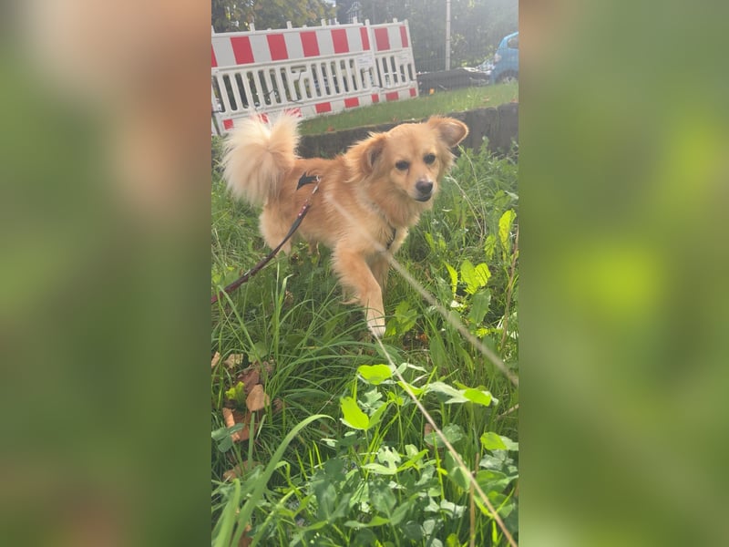 Baby der kleine Herzensbrecher sucht