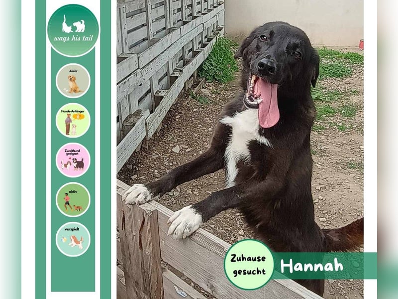 Hannah - Glück im Fellkleid ❤️