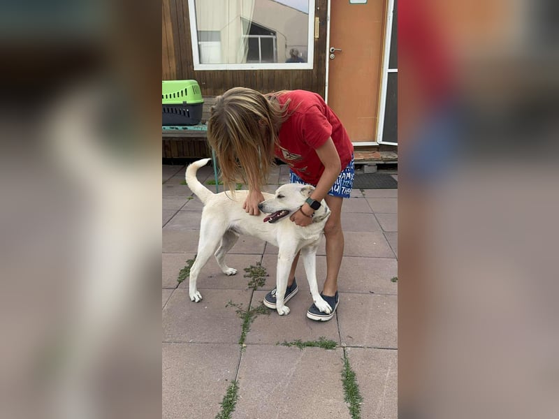 Duke - Knuddelbär mit Herz ❤️