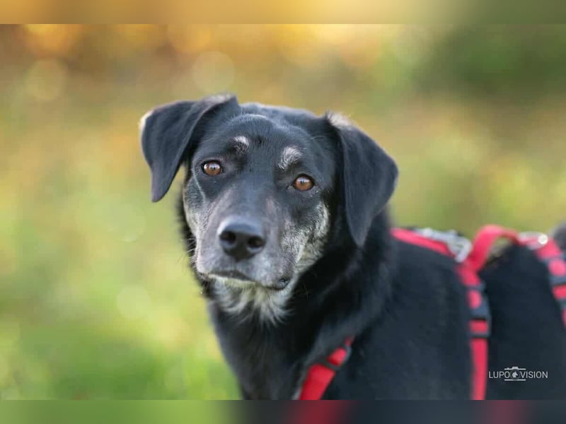 Sonia - ein Sonnenschein