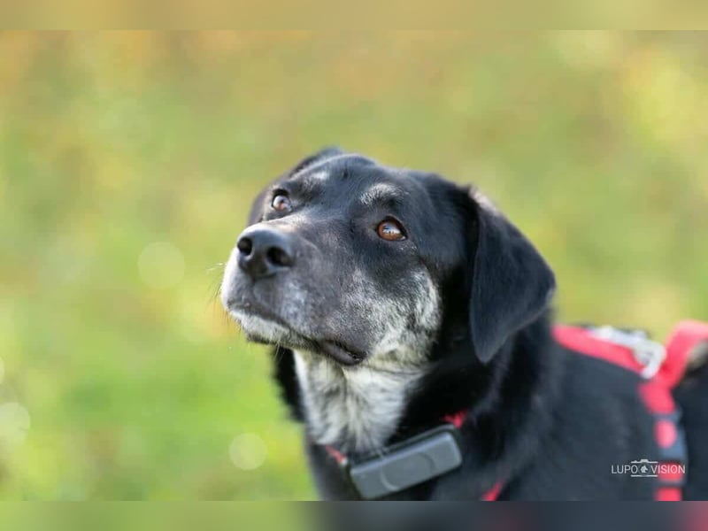 Sonia - ein Sonnenschein