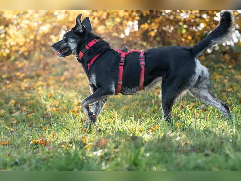 Sonia - ein Sonnenschein