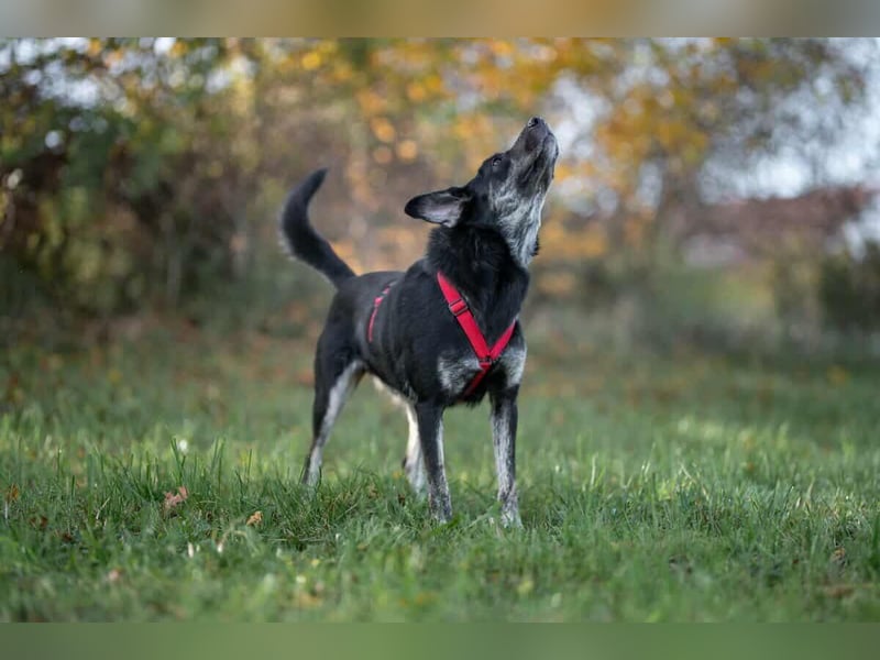 Sonia - ein Sonnenschein