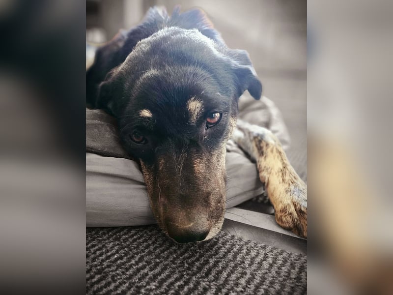 Sonia - ein Sonnenschein