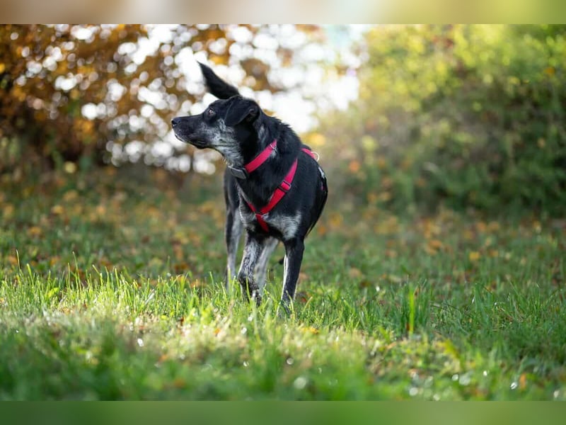 Sonia - ein Sonnenschein