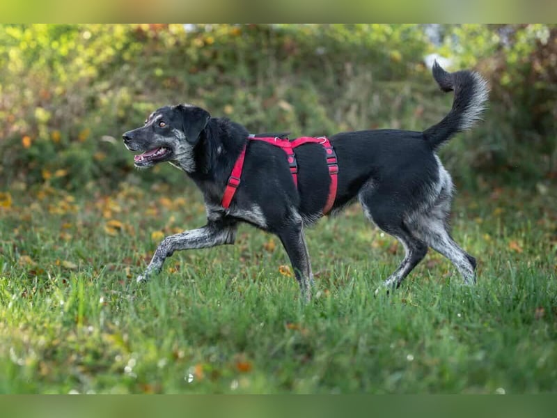 Sonia - ein Sonnenschein