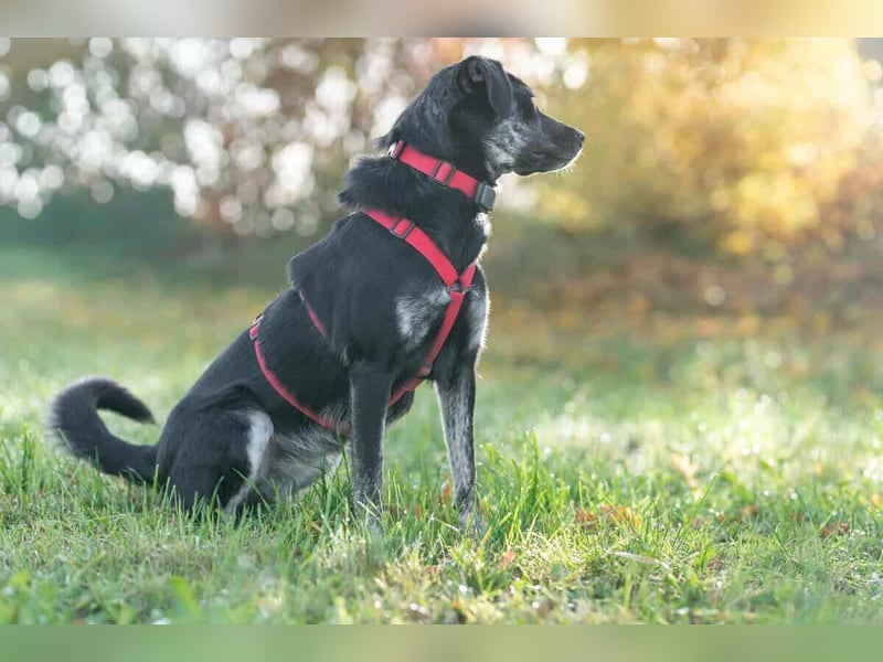 Sonia - ein Sonnenschein