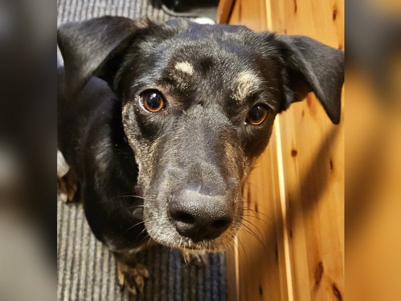 Sonia - ein Sonnenschein