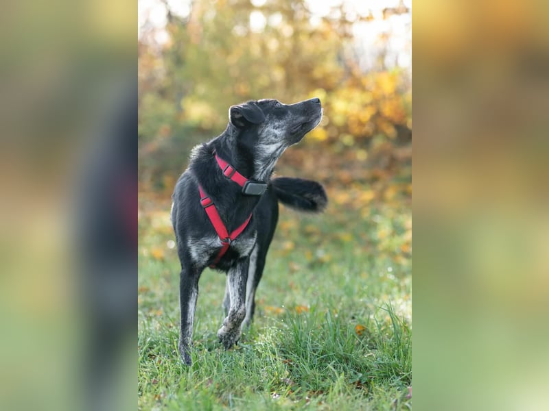 Sonia - ein Sonnenschein