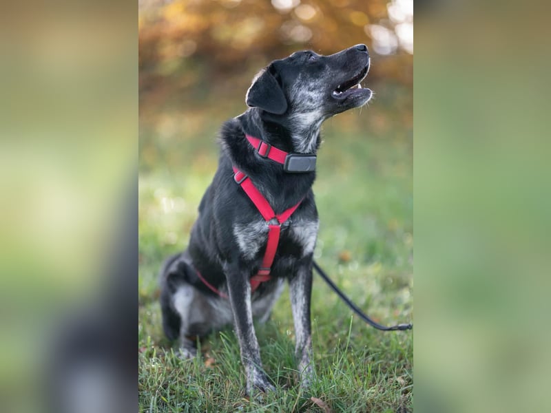 Sonia - ein Sonnenschein