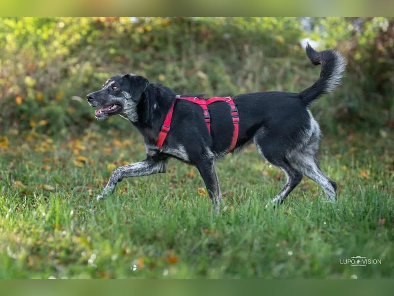 Sonia - ein Sonnenschein