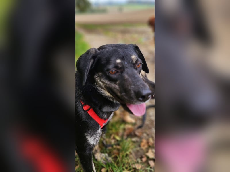 Sonia - ein Sonnenschein