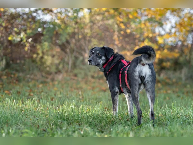 Sonia - ein Sonnenschein