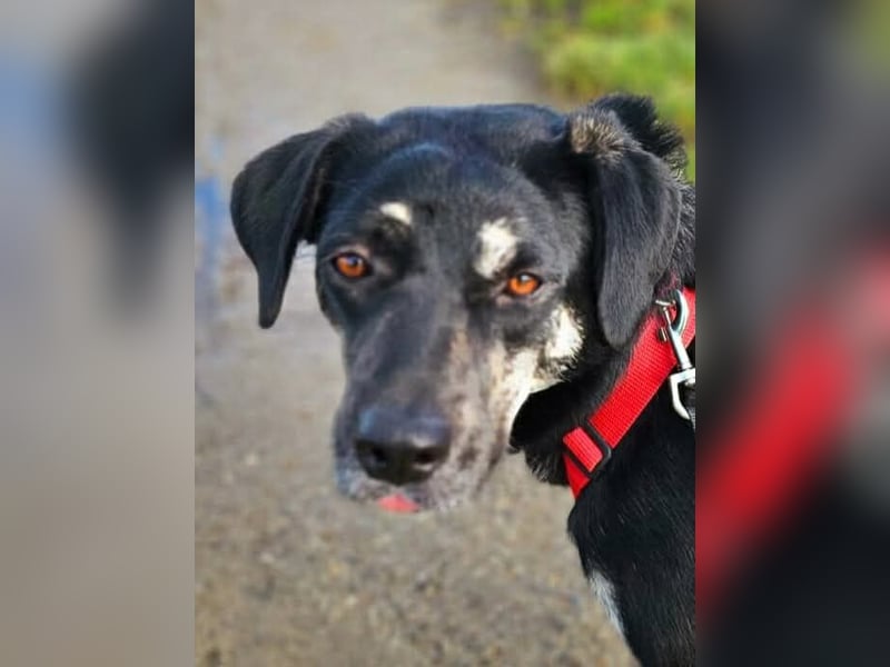 Sonia - ein Sonnenschein