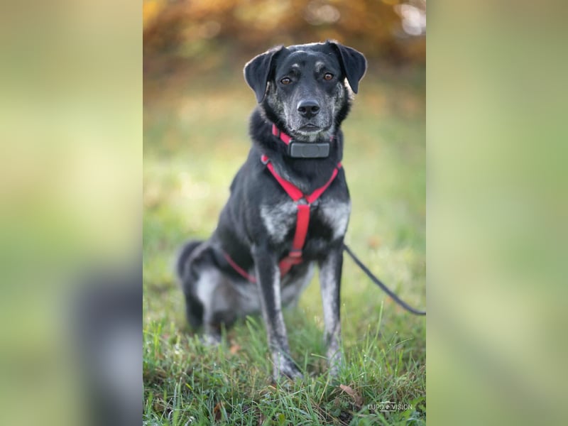 Sonia - ein Sonnenschein