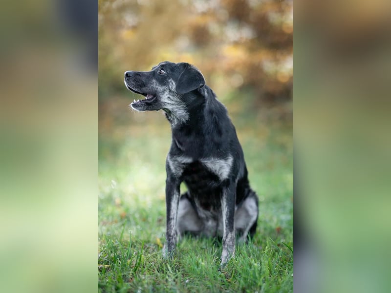 Sonia - ein Sonnenschein