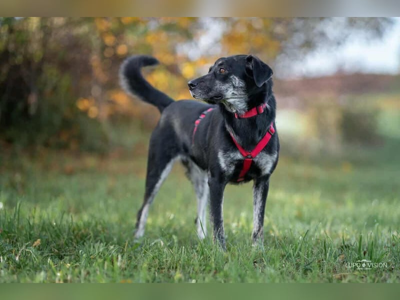 Sonia - ein Sonnenschein