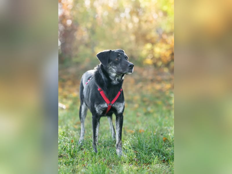 Sonia - ein Sonnenschein