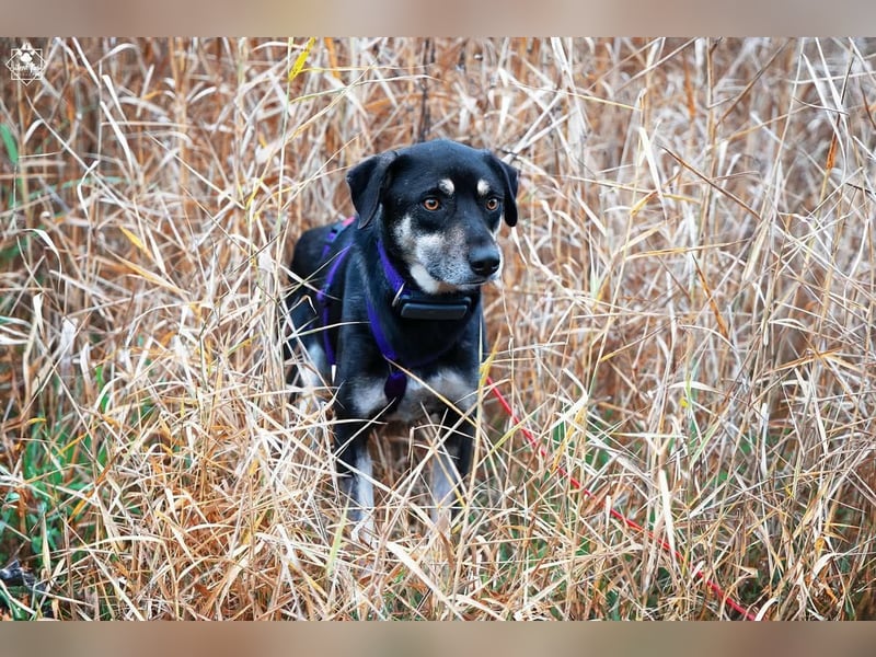 Elke - eine sensible Begleiterin