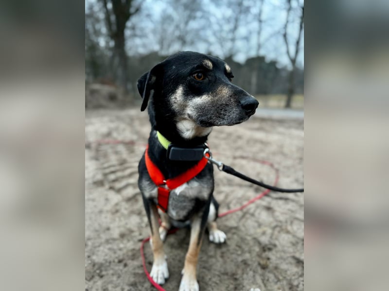 Elke - eine sensible Begleiterin